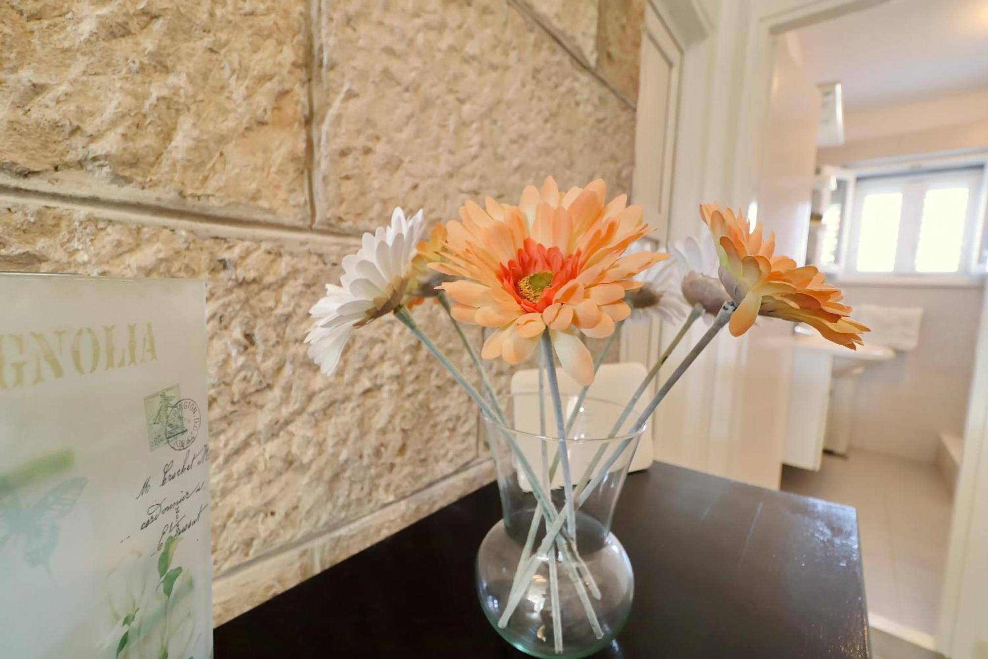 Villa Ivana Zrnovo Dış mekan fotoğraf
