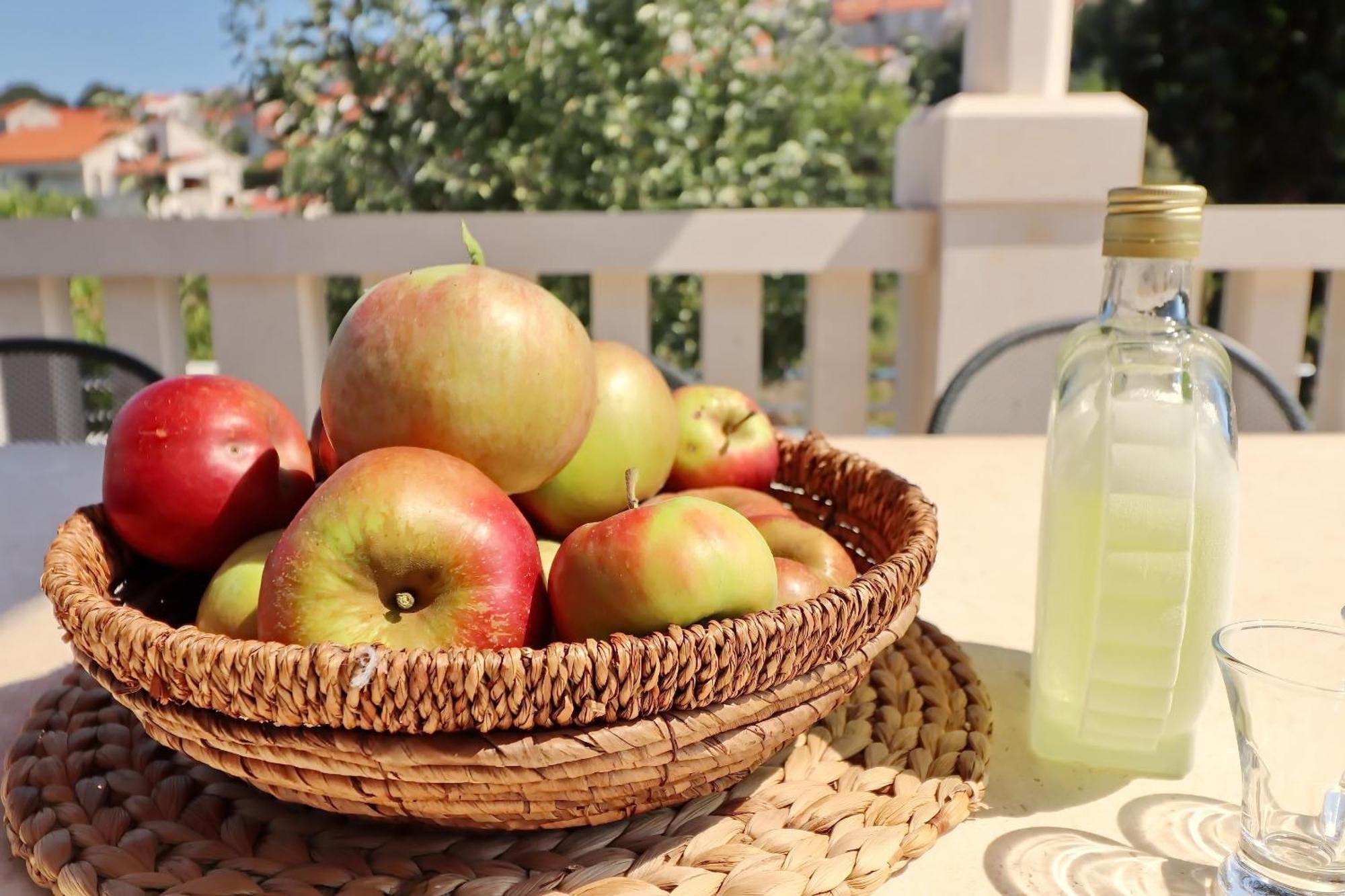 Villa Ivana Zrnovo Dış mekan fotoğraf